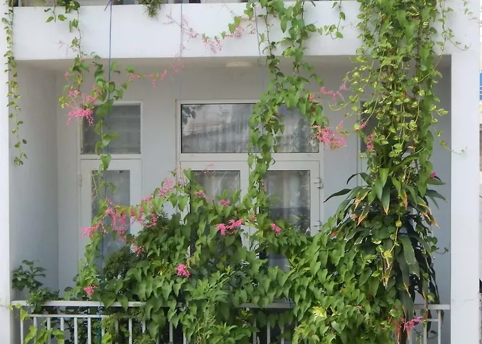 Homestay 37 Ad